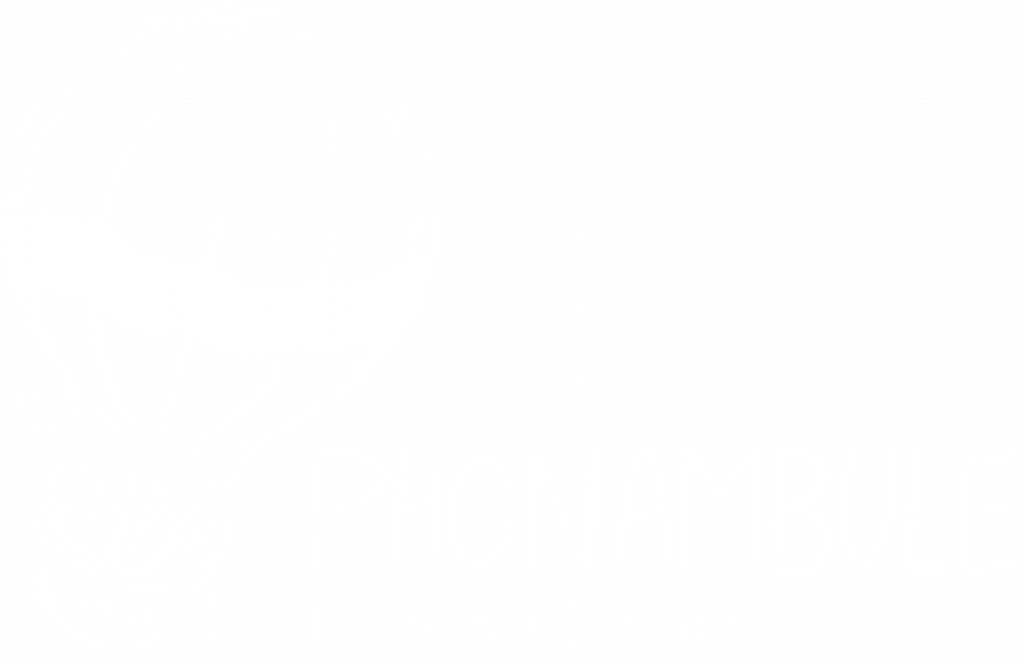 Logo phonambule horizontal blanc