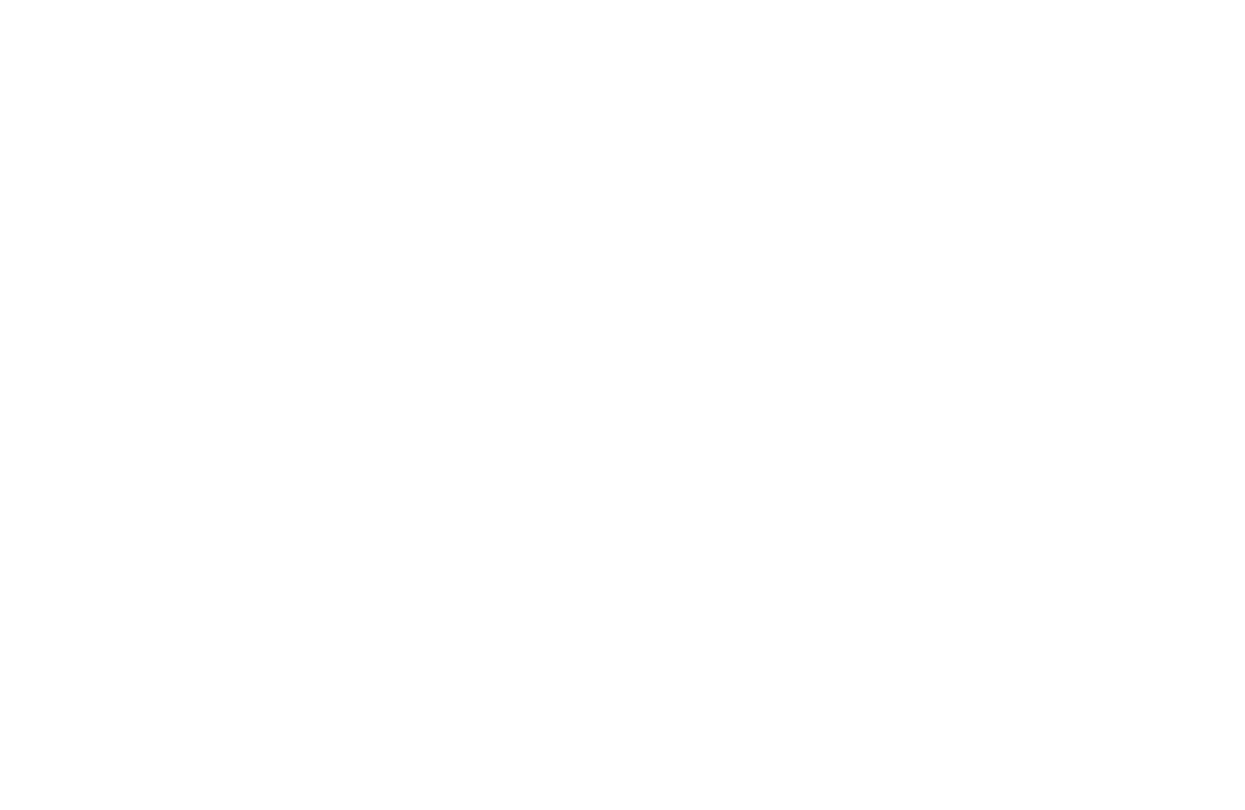 Logo phonambule horizontal blanc